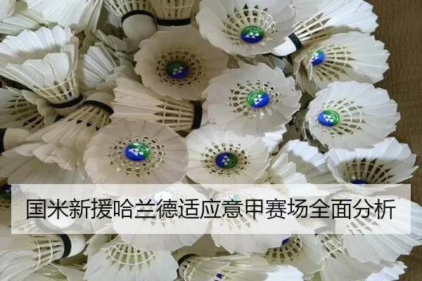 guo-mi-xin-yuan-ha-lan-de-shi-ying-yi-jia-sai-chang-quan-mian-fen-xi-2-455.jpg