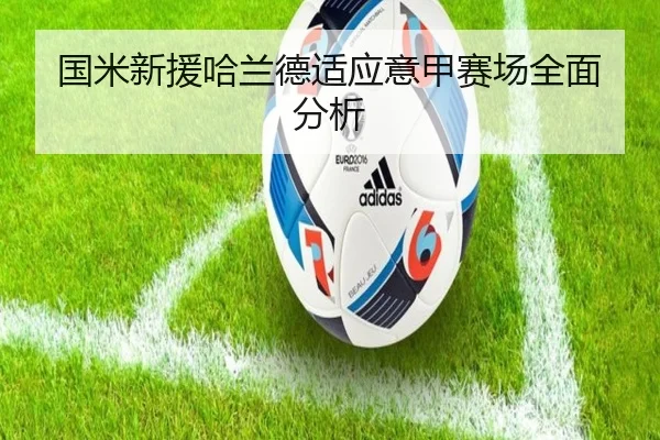 国米新援哈兰德适应意甲赛场全面分析